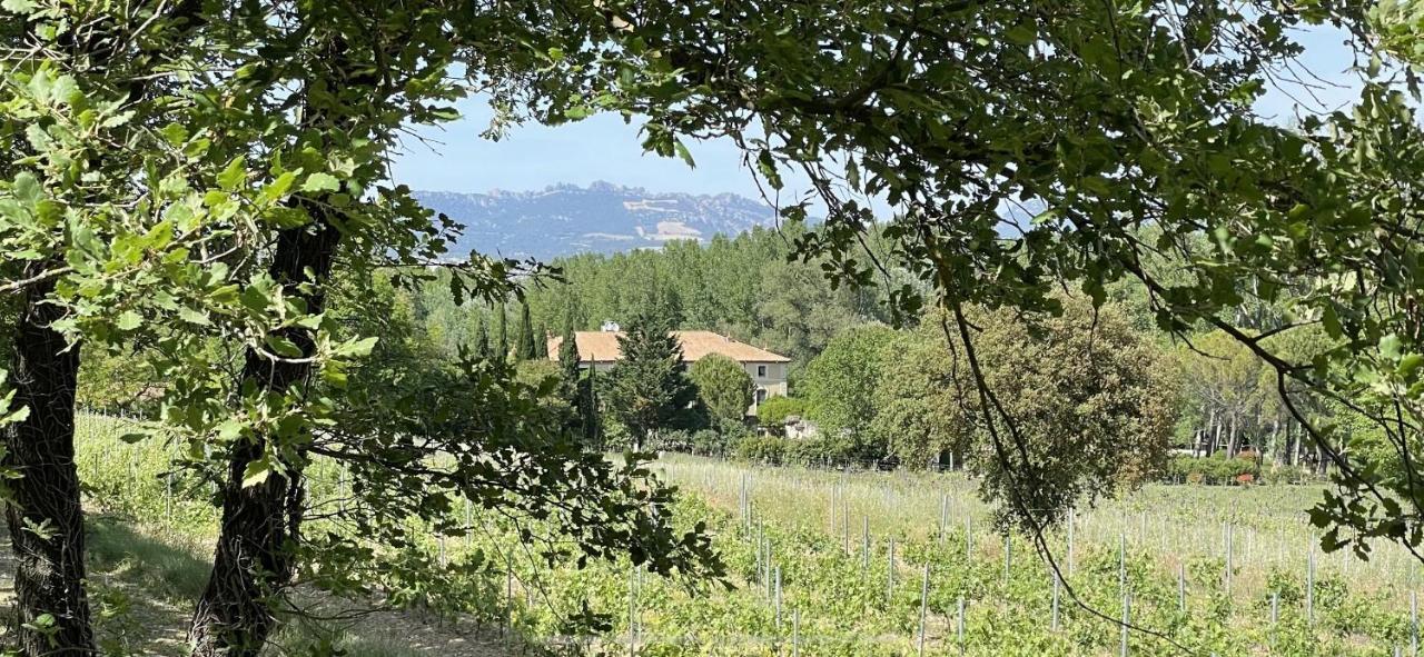Chateau Talaud ロリオル・デュ・コンタ エクステリア 写真