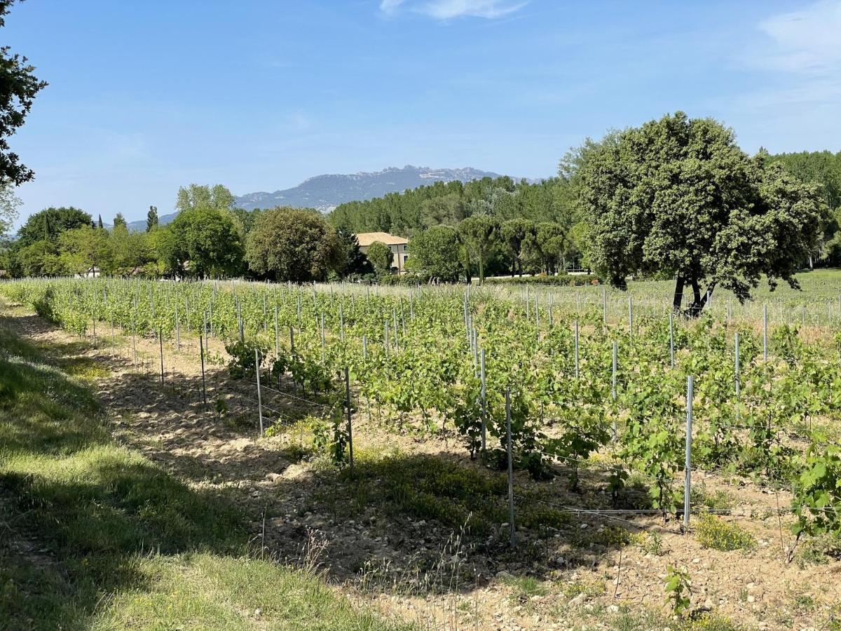 Chateau Talaud ロリオル・デュ・コンタ エクステリア 写真