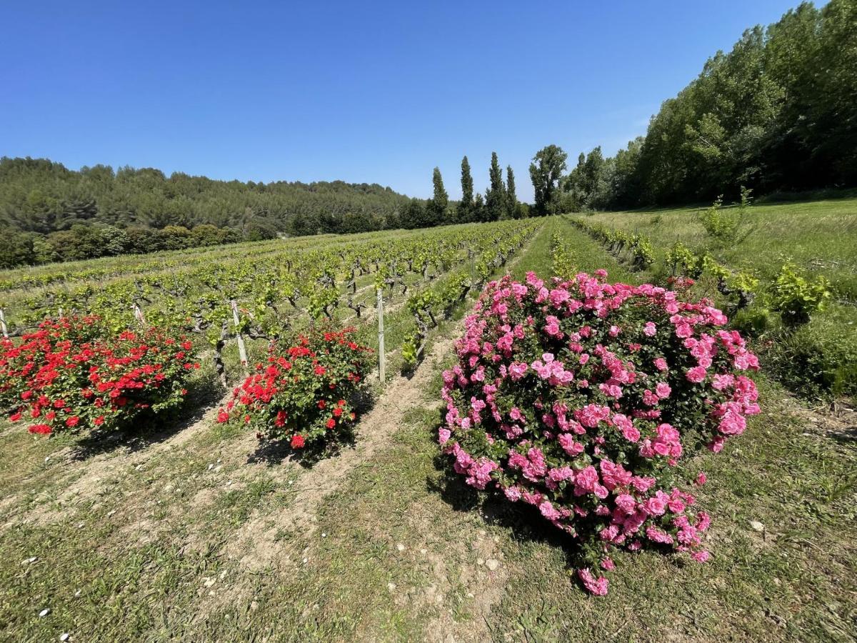 Chateau Talaud ロリオル・デュ・コンタ エクステリア 写真